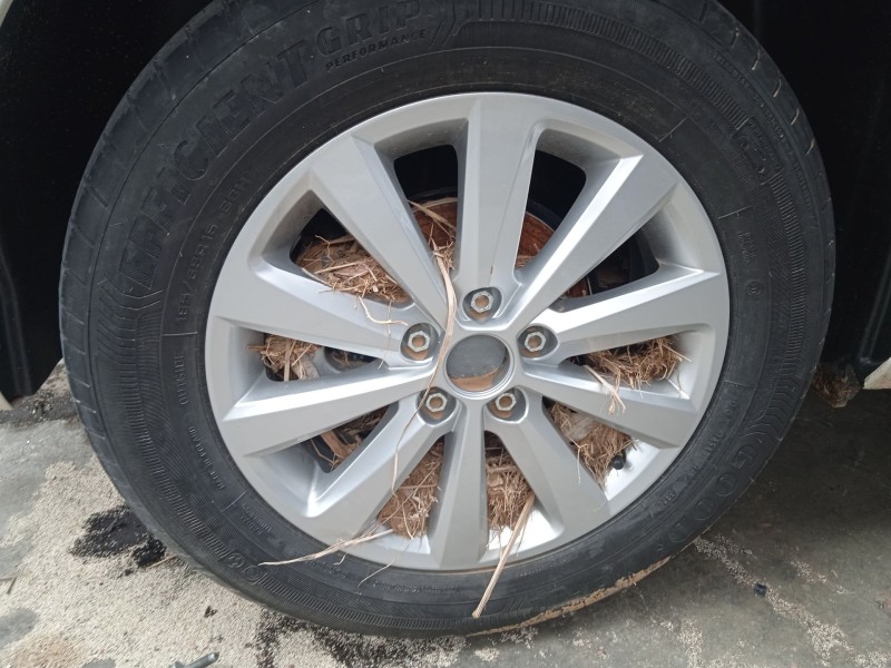 seat ibiza v (kj1, kjg) del año 2017