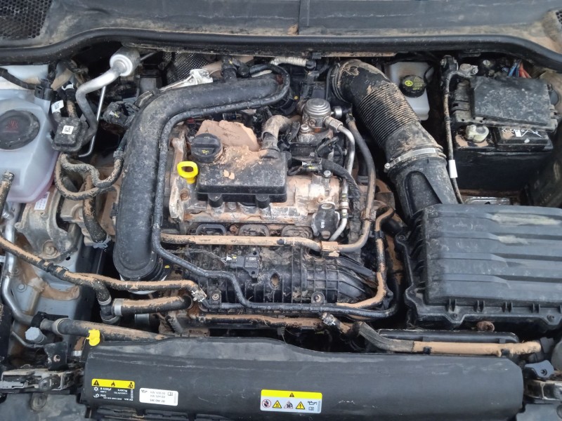 seat ibiza v (kj1, kjg) del año 2017