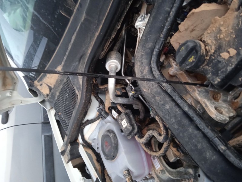 seat ibiza v (kj1, kjg) del año 2017