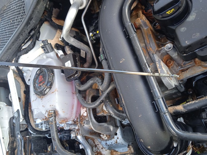 seat ibiza v (kj1, kjg) del año 2024