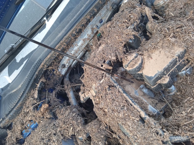 seat leon (kl1, klg) del año 2020