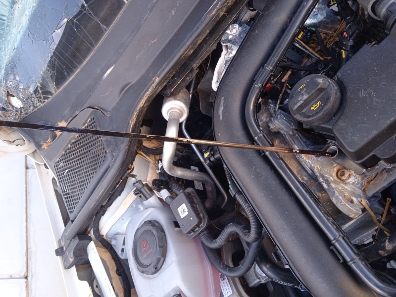 seat ibiza v (kj1, kjg) del año 2017