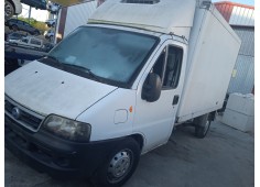 FIAT DUCATO FURGONETA (244_)