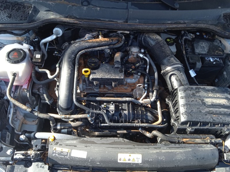 seat ibiza v (kj1, kjg) del año 2024