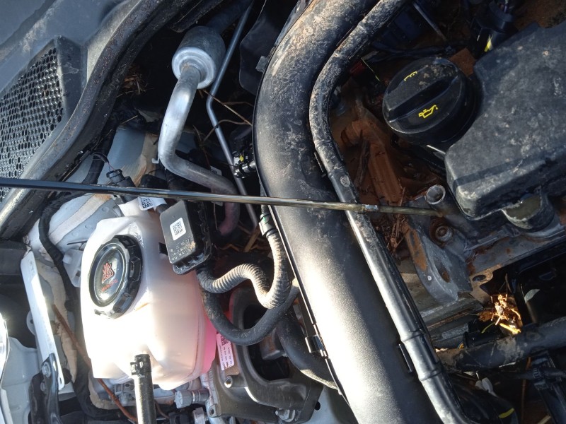 seat ibiza v (kj1, kjg) del año 2024