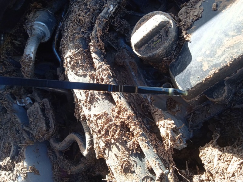 seat arona (kj7, kjp) del año 2024