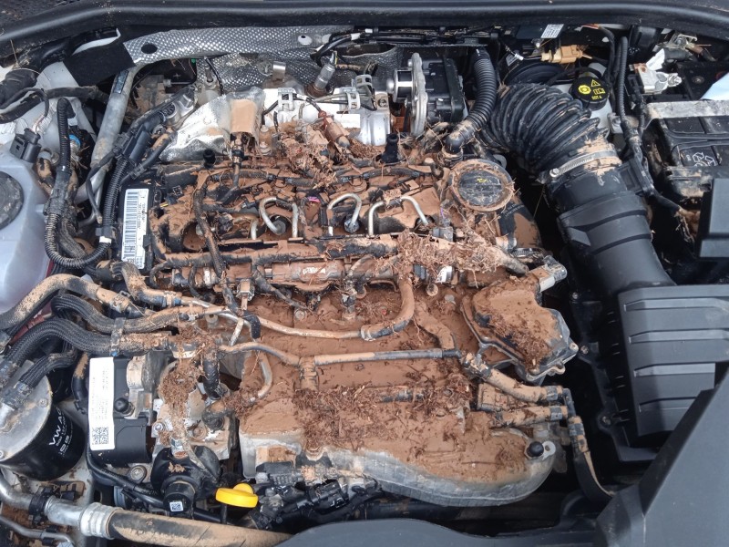 seat leon (kl1, klg) del año 2019