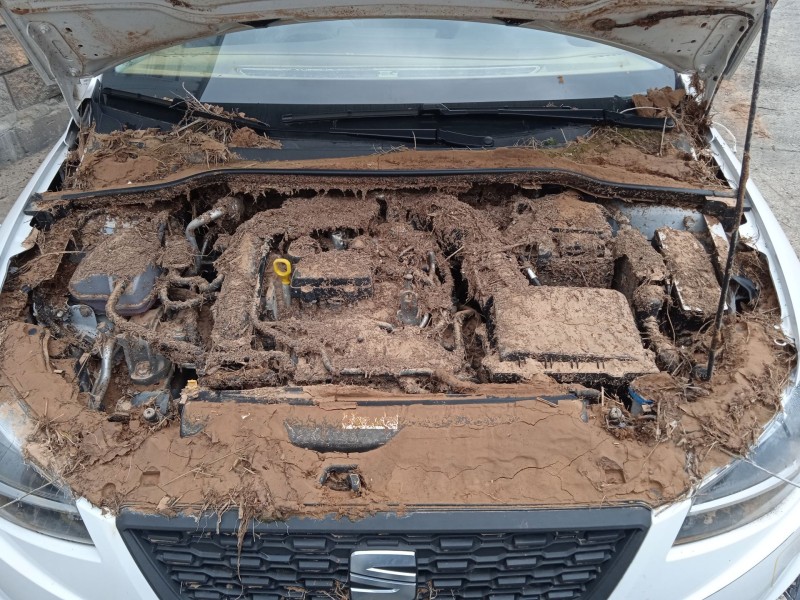 seat ibiza v (kj1, kjg) del año 2024