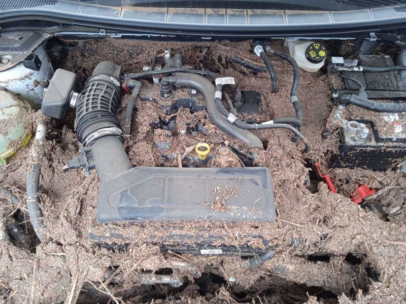 ford kuga iii (dfk) del año 2024