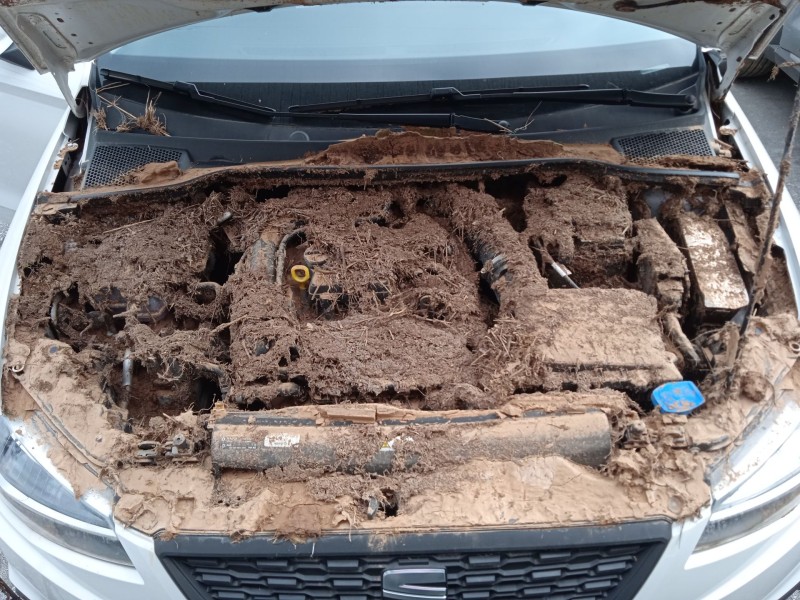 seat ibiza v (kj1, kjg) del año 2024