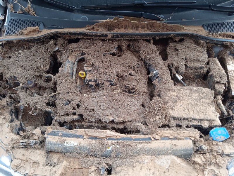 seat ibiza v (kj1, kjg) del año 2024