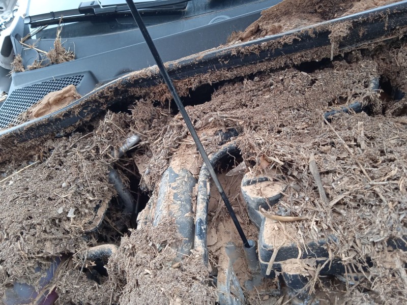 seat ibiza v (kj1, kjg) del año 2024