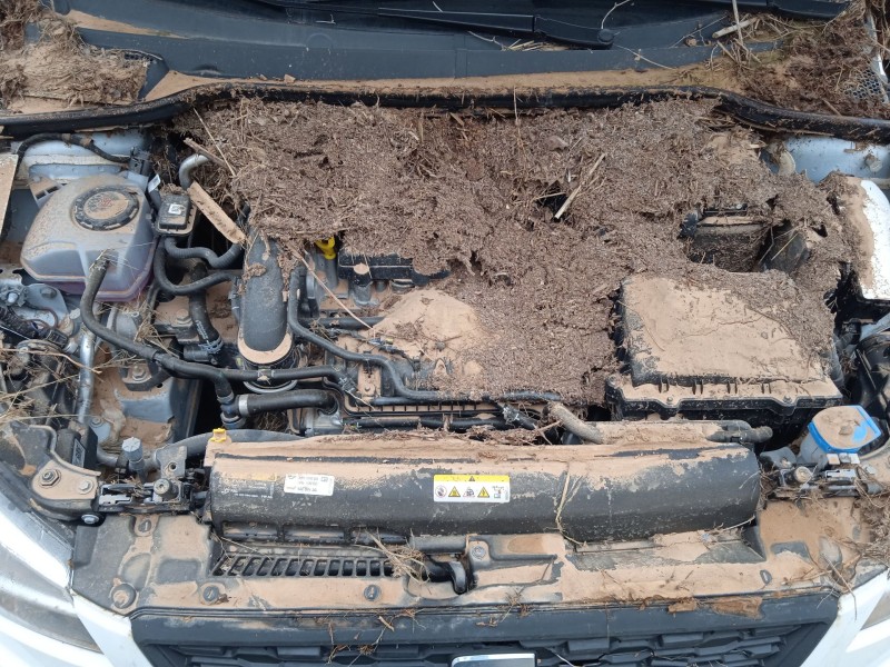 seat ibiza v (kj1, kjg) del año 2024