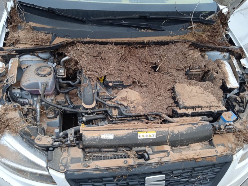 seat ibiza v (kj1, kjg) del año 2024