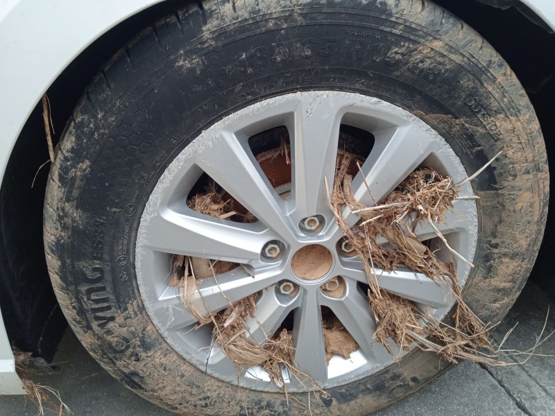 seat ibiza v (kj1, kjg) del año 2024