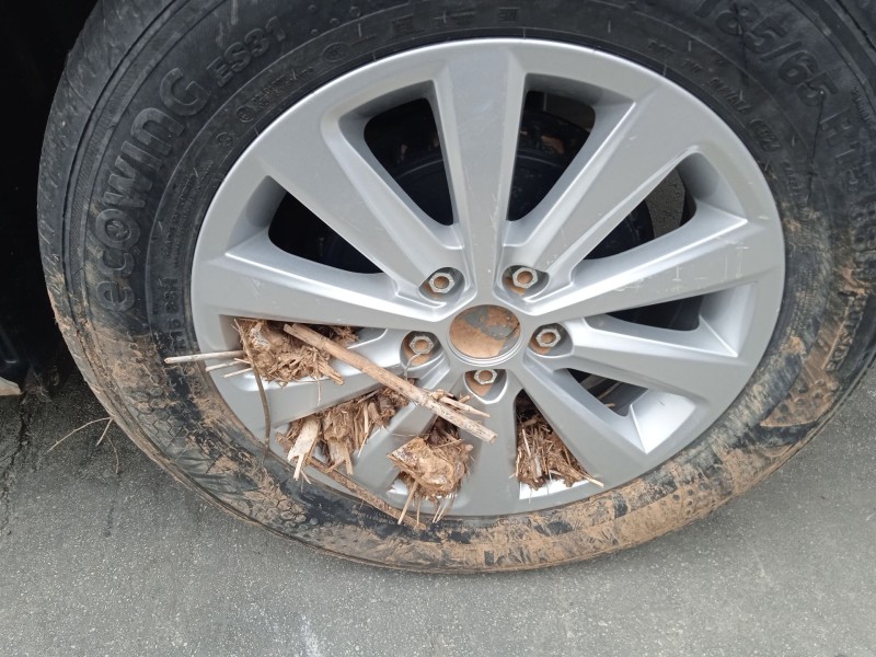 seat ibiza v (kj1, kjg) del año 2024