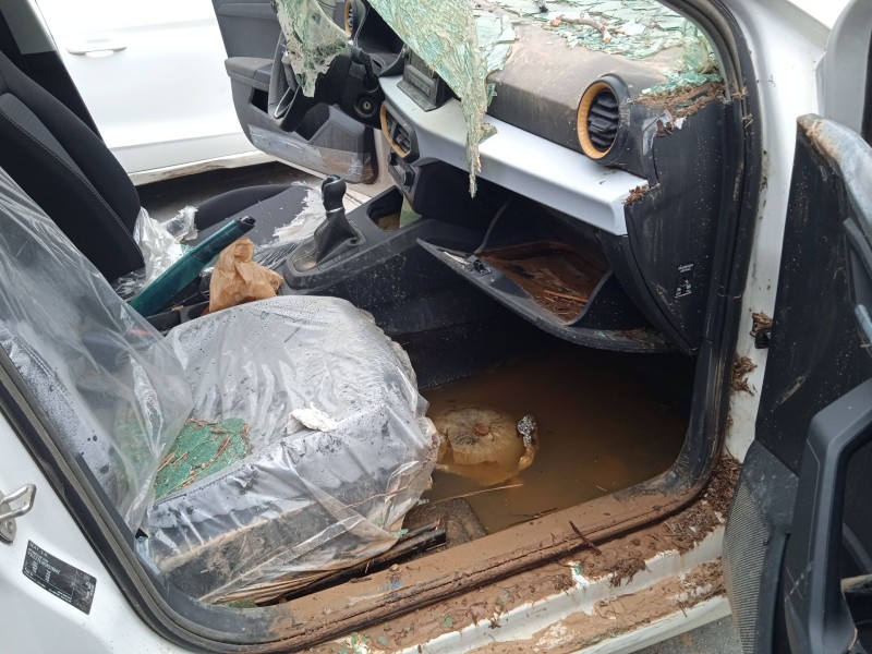 seat ibiza v (kj1, kjg) del año 2024