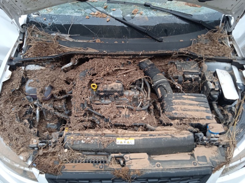 seat ibiza v (kj1, kjg) del año 2024