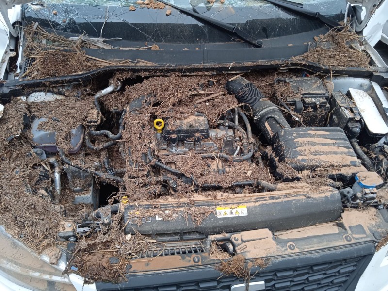 seat ibiza v (kj1, kjg) del año 2024