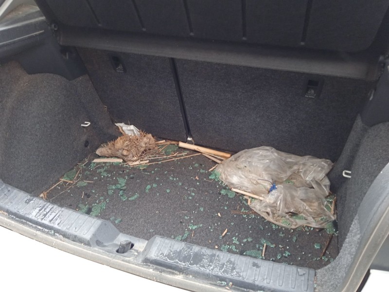 seat ibiza v (kj1, kjg) del año 2024