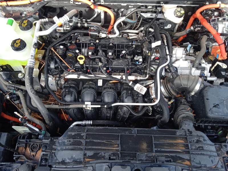 ford kuga iii (dfk) del año 2019