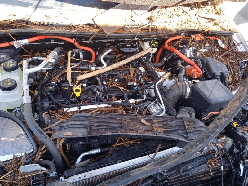 ford kuga iii (dfk) del año 2024