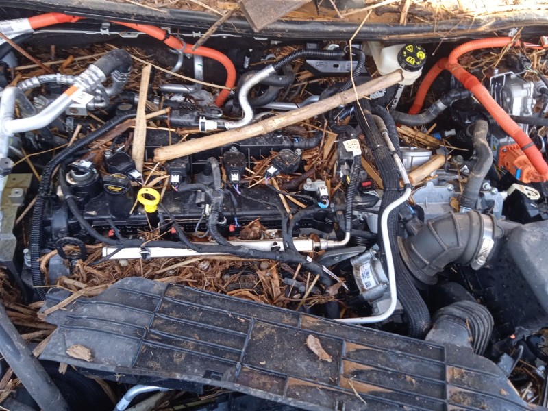 ford kuga iii (dfk) del año 2024