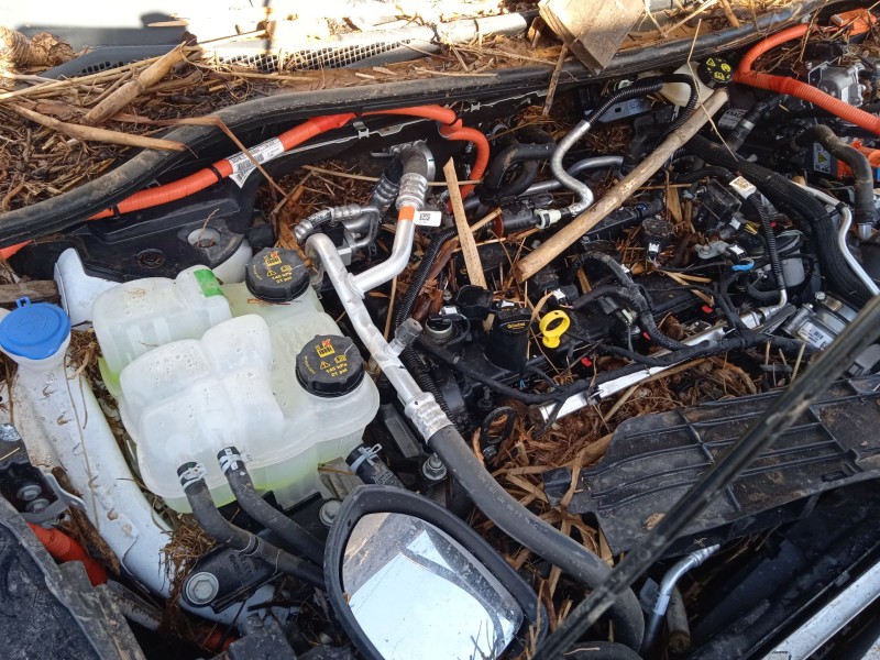 ford kuga iii (dfk) del año 2024