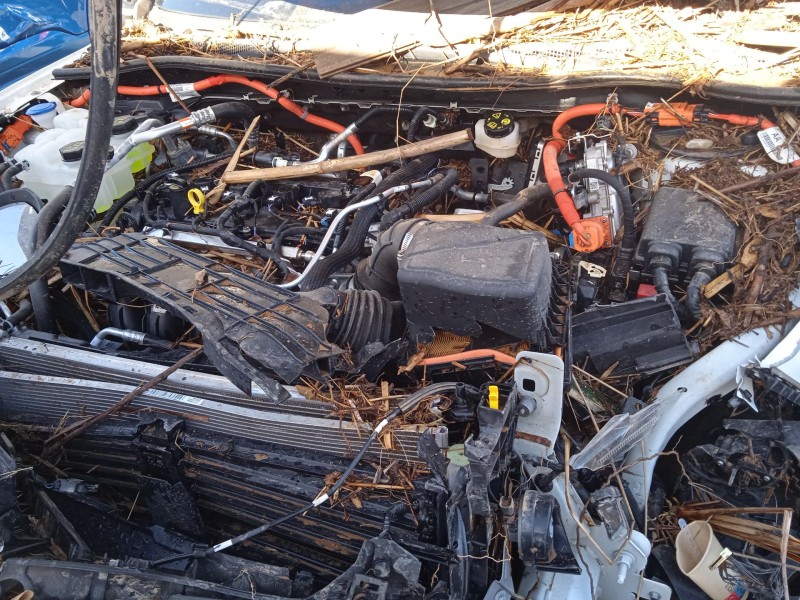 ford kuga iii (dfk) del año 2024