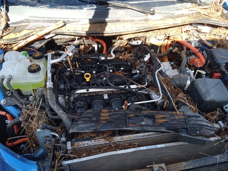 ford kuga iii (dfk) del año 2024