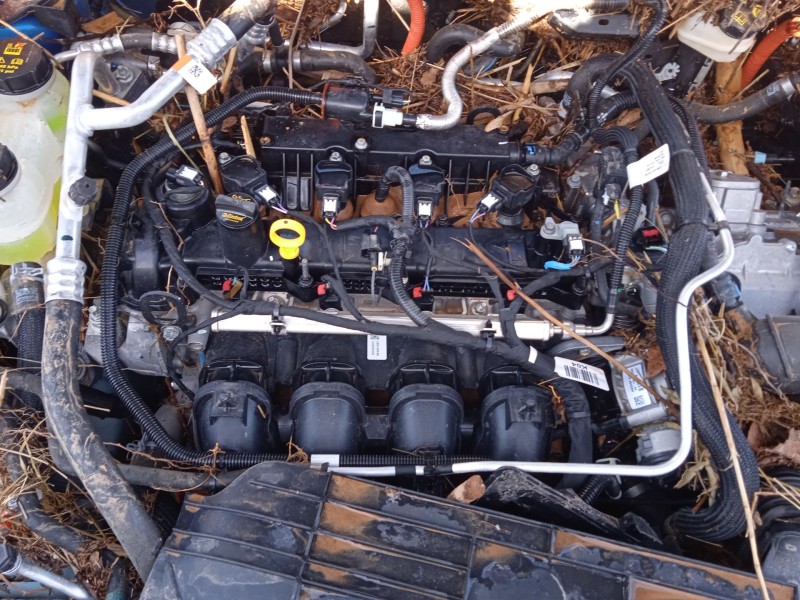 ford kuga iii (dfk) del año 2024