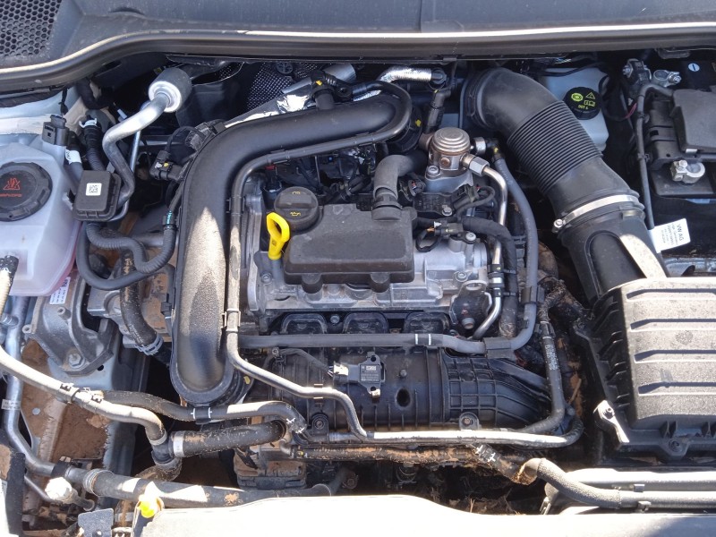 seat ibiza v (kj1, kjg) del año 2024