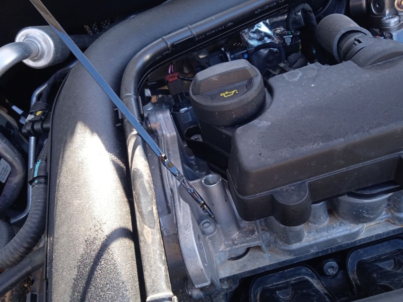 seat ibiza v (kj1, kjg) del año 2024