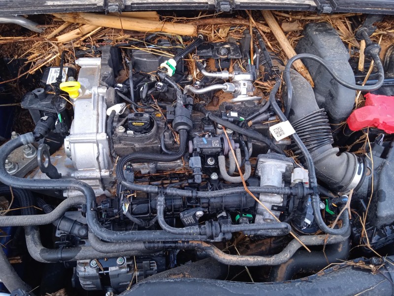 ford puma (j2k, cf7) del año 2019