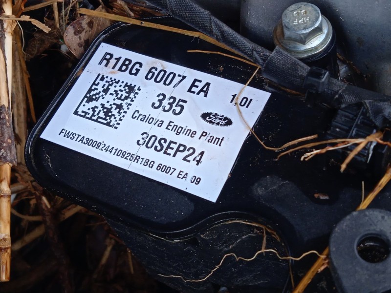 ford puma (j2k, cf7) del año 2019