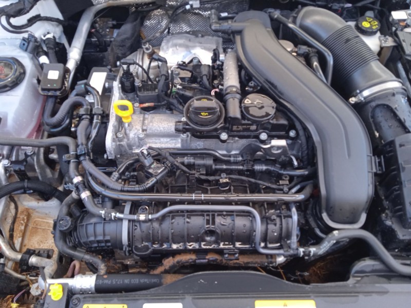 seat leon (kl1, klg) del año 2019