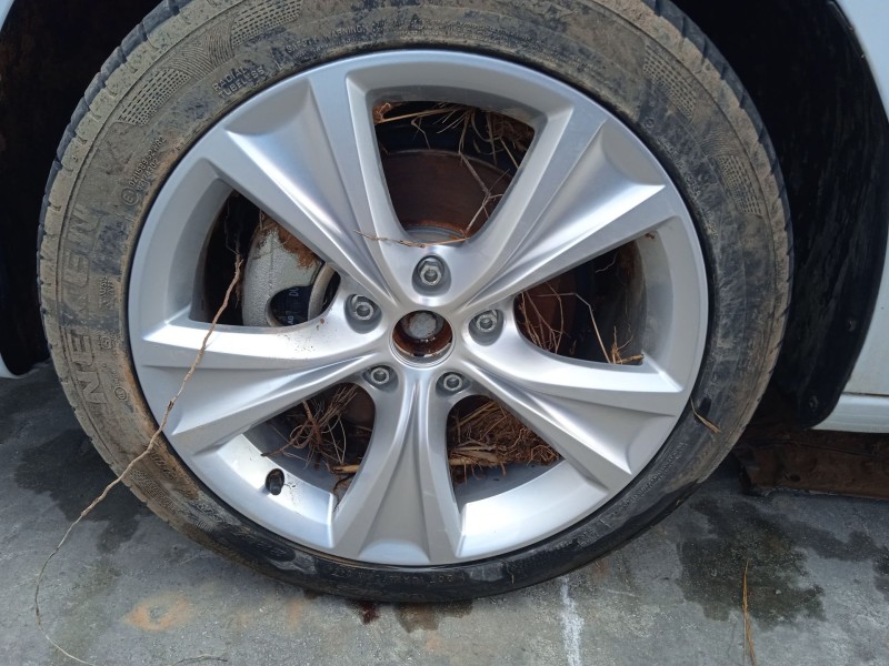 seat leon (kl1, klg) del año 2019