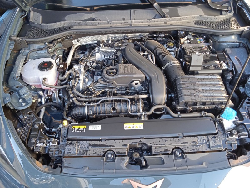 cupra leon (kl1, ku1, kug) del año 2022