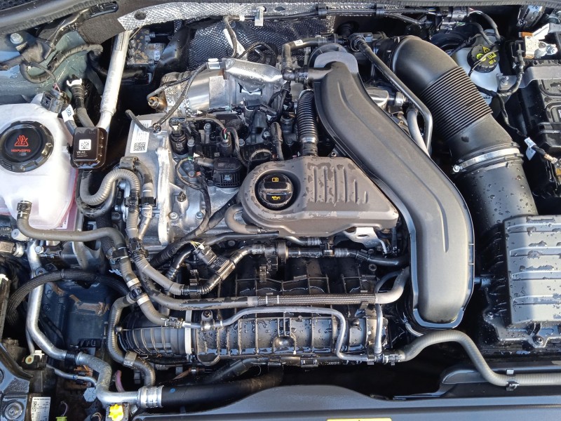 cupra leon (kl1, ku1, kug) del año 2022