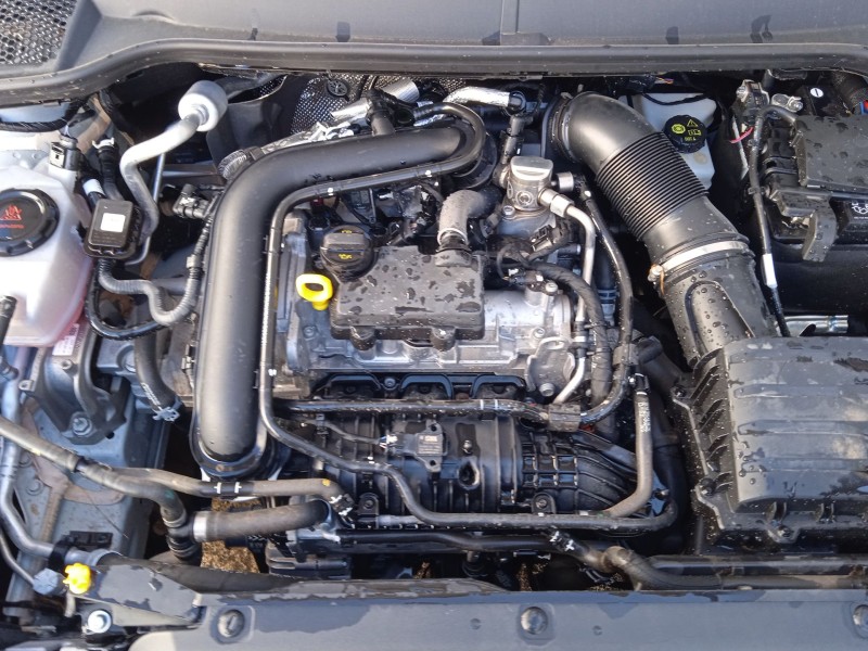 seat arona (kj7, kjp) del año 2024