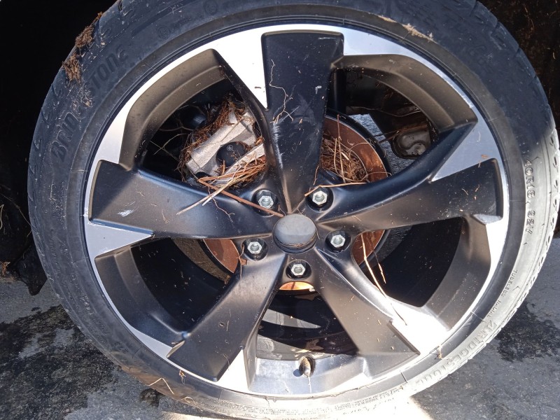 cupra leon (kl1, ku1, kug) del año 2022