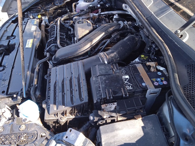 cupra leon (kl1, ku1, kug) del año 2022