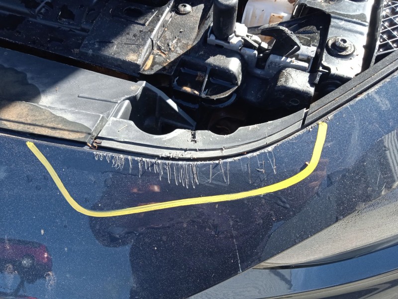 cupra leon (kl1, ku1, kug) del año 2022