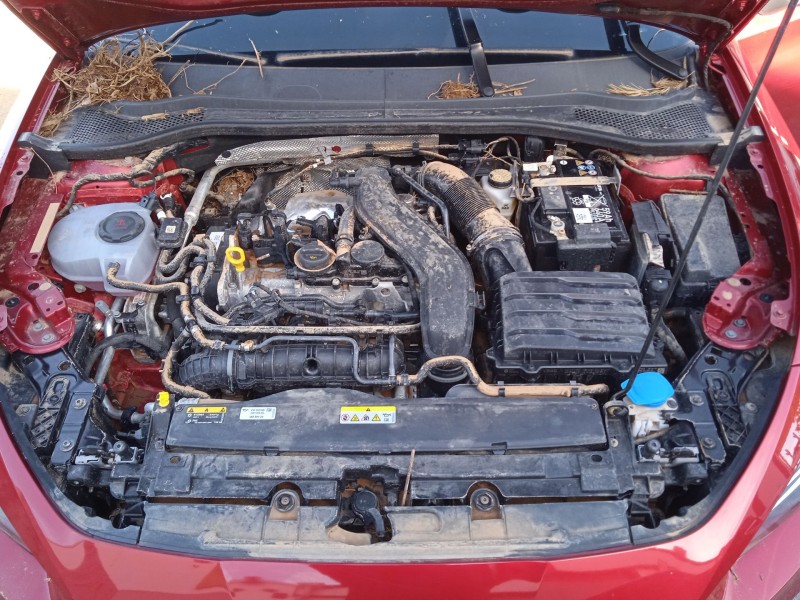 seat leon (kl1, klg) del año 2019