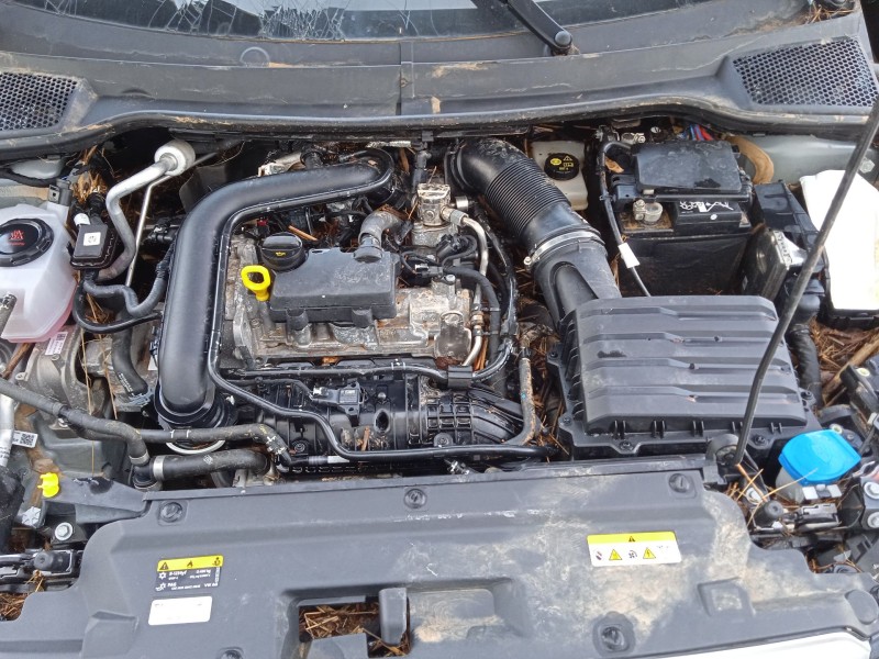 seat arona (kj7, kjp) del año 2024