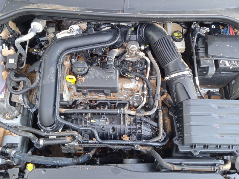 seat ibiza v (kj1, kjg) del año 2017