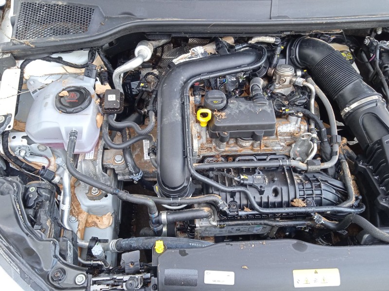 seat ibiza v (kj1, kjg) del año 2017