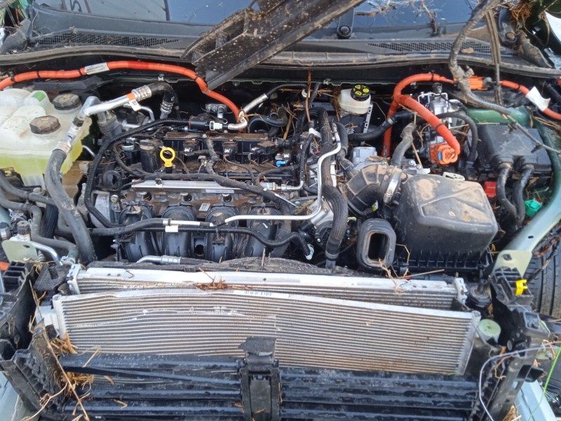 ford kuga iii (dfk) del año 2019