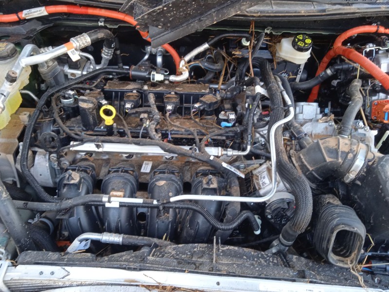 ford kuga iii (dfk) del año 2019