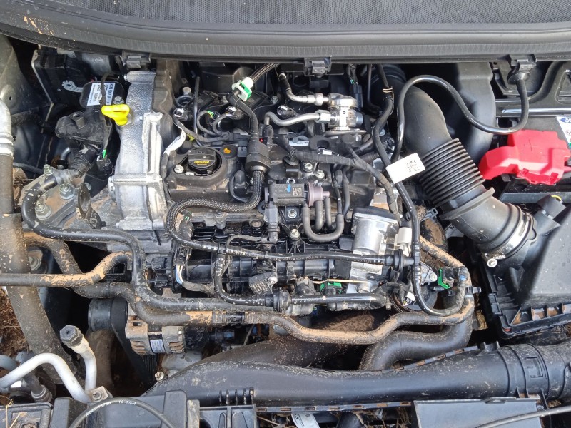 ford tourneo courier del año 2024